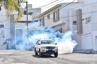 Imagen Ya son 6 las defunciones por dengue en el estado de Veracruz