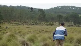 Imagen ¿Cómo será la reforestación con drones en zonas afectadas en Veracruz? 