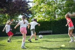 Imagen Deportes con pelota, zumba, activación física y otras actividades en cursos gratis en Veracruz 