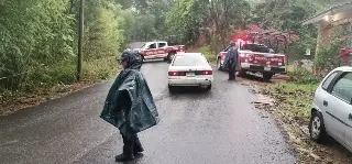 Imagen Niña muere al sacar la cabeza por la ventana del auto y ser golpeada por otro carro