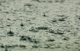 Imagen Prevén lluvias en 10 estados, entre ellos Veracruz