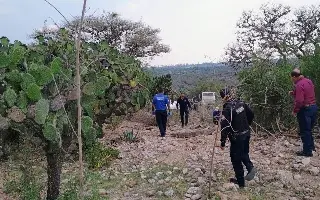 Imagen Muerte simultánea de 15 vacas desconcierta a ganaderos de Paso del Macho