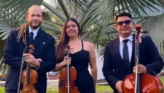 Imagen Invitan a concierto con el ensamble 'Cuerdas del mundo' al norte de Veracruz 