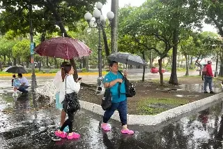 Imagen ¿Las lluvias seguirán en Veracruz? Esto dicen meteorólogos