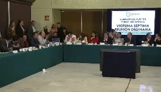 Imagen Comisión de diputados devuelve a CFE la denominación de empresa pública