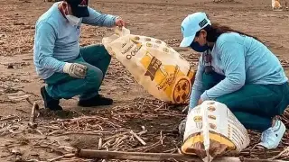 Imagen Realizarán jornada de limpieza en playas de Boca del Río