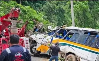 Imagen Recuperan autobús que cayó a barranco en carretera de Veracruz; uno de los pasajeros está grave