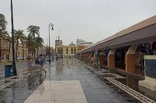 Imagen Asipona revela cuánto tiempo tardarían demoler mercado de artesanías en Malecón de Veracruz