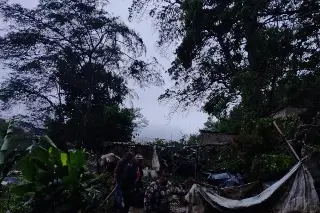 Imagen Reportan caída de árboles y cortes de energía eléctrica por temporal lluvioso en Xalapa