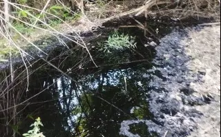 Imagen Fuga de hidrocarburo lleva meses en Papantla, Veracruz