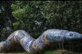 Imagen Destrucción de serpiente en Parque Natura fue por un error; piden disculpas y hay despidos