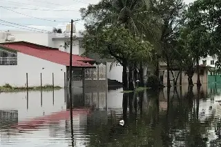 Imagen El huracán Karl dejó una gran enseñanza: vecinos del Floresta, en Veracruz 