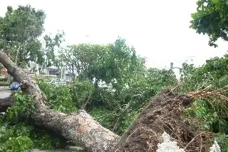 Imagen El huracán Karl le cambió la vida; formó parte del Plan DNIII de la Sedena en Veracruz