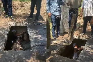 Imagen Cae yegua a aljibe sin tapa en Puente Moreno (+video)