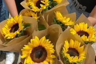 Imagen ¿Por qué se regalan flores amarillas hoy 21 de septiembre?