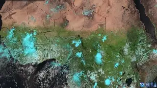 Imagen Revelan que vegetación crece y avanza en el desierto del Sahara