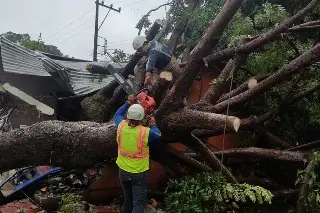 Imagen Todo pasó en segundos, un gran estruendo que dejó casas destechadas en Catemaco (Fotos)