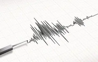 Imagen ¿Cuál es la diferencia entre un microsismo y un sismo? 