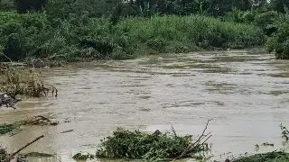 Imagen Se inundan viviendas por desbordamiento de arroyo al norte de Veracruz 