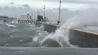 Imagen Pronostican rachas de hasta 85 km/h por viento del norte en Veracruz 