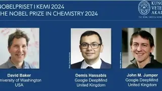 Imagen Nobel de Química 2024 para científicos que han descifrado la estructura de las proteínas