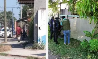 Imagen Aumentan casos de personas come gatos y perros en Veracruz; Amapolas en foco rojo