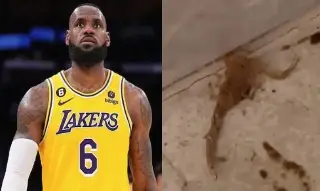 Imagen LeBron James estuvo a punto de ser picado por un escorpión 