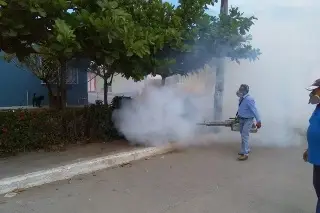 Imagen Se triplican muertes por dengue en Veracruz 