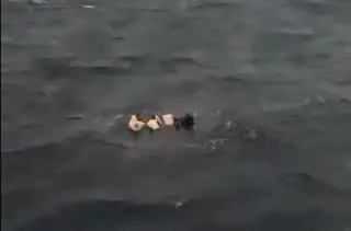 Imagen Rescatan a tres pescadores tras naufragio en Yucatán (+Video)