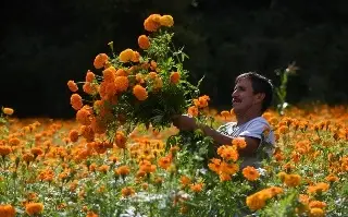 Imagen San Pablo Coapan, el pueblo que lleva 54 años cultivando la flor de cempasúchil