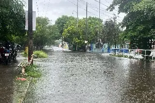 Imagen Se desborda la Laguna de lagartos en Veracruz 