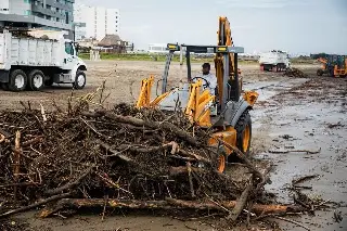 Imagen Realizan limpieza de palizada y trabajos de desazolve en playas y colonia de Boca Del Río 