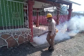 Imagen ¿Sirve la fumigación para evitar casos de dengue?