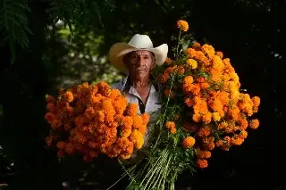 Imagen Corte de flor de Cempasúchil tradición familiar en Coacoatzintla, Veracruz 