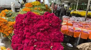 Imagen Este es el precio de las flores tradicionales para el día de muertos en Veracruz 