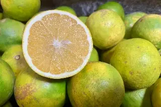 Imagen Naranja, vainilla y alimentos enlatados ya exporta Veracruz a Europa: Sedecop