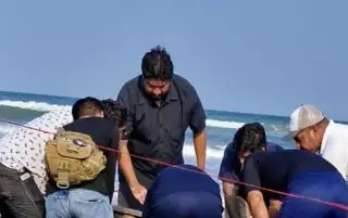 Imagen Turista muere ahogado en playa en zona centro del estado de Veracruz