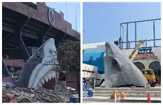 Imagen Inicia instalación de cabeza gigante de tiburón en Acuario de Veracruz; estaba en el 