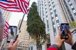 Imagen Para inaugurar la temporada, llega a NY el árbol de Navidad del Rockefeller Center 