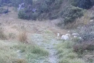 Imagen Se registra helada la mañana de este lunes en Veracruz