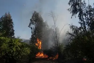 Imagen Decretan alerta roja por incendios forestales que se propagan en Chile 