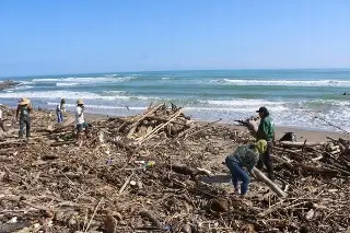 Imagen Palizada y desechos sólidos afectan playas al norte de Veracruz 