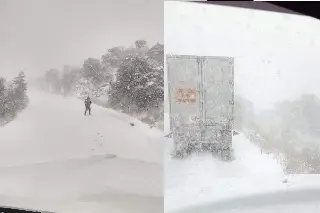 Imagen El Frente frío 10 traerá nevadas en estos estados