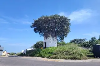 Imagen Estos fueron los daños que dejaron invasores en antiguo molino de viento en Veracruz