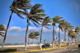 Este jueves persistirá el viento del norte en Veracruz - Boca del Río; esta sería la racha máxima