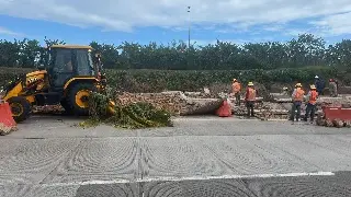 Imagen Fuertes rachas de viento derrumban la barda en bulevar Fidel Velázquez 