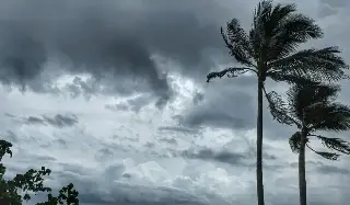 Imagen Prevén temperatura mínima de 17 grados Celsius en Veracruz-Boca del Río