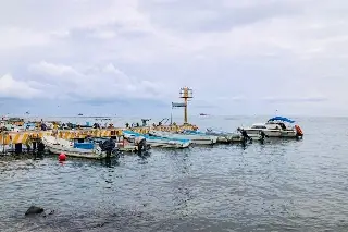 Imagen Mala temporada: pescadores de Veracruz llevan más de 10 días sin capturas