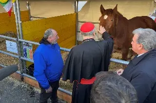 Imagen Animales llegan al Vaticano por San Antonio Abad 