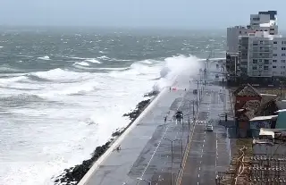 Imagen Toma fuerza viento del norte en Veracruz; esta es la racha máxima 